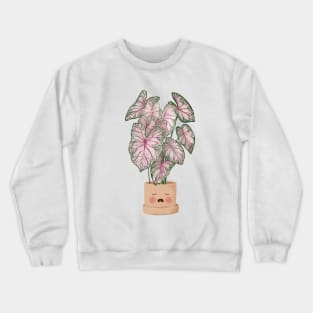 Cute Plant Illustration, Caladium Pink Beauty Crewneck Sweatshirt